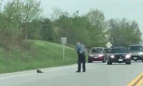 Американский полицейский расстрелял сурка, который оказал сопротивление (видео)