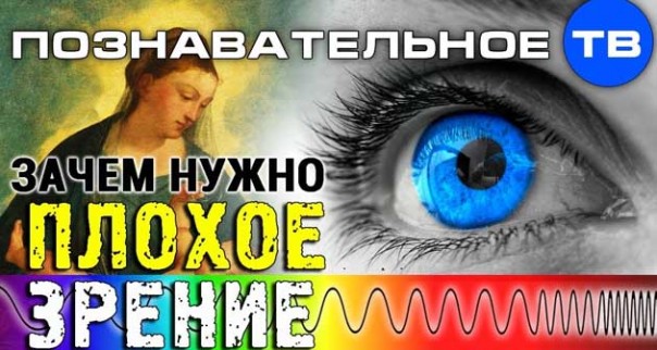Артём Войтенков. Зачем нужно плохое зрение? Познавательное ТВ