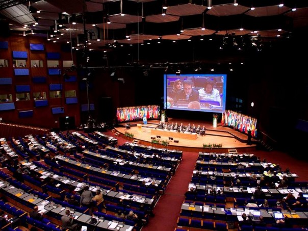 Что таит в себе проект Макрона по ОЗХО?