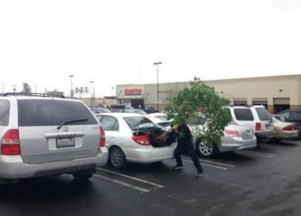 Они очень постарались