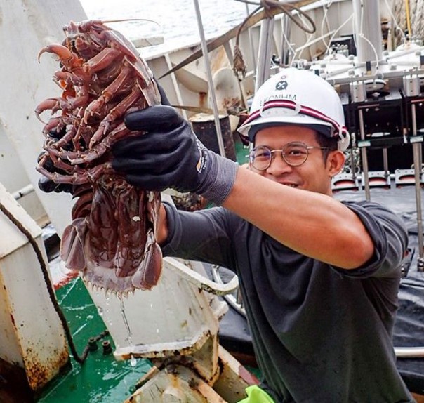 Учёные обнаружили в океане гигантского глубоководного таракана