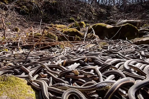 Самый опасный остров в мире. С него мало кто смог вернуться живым