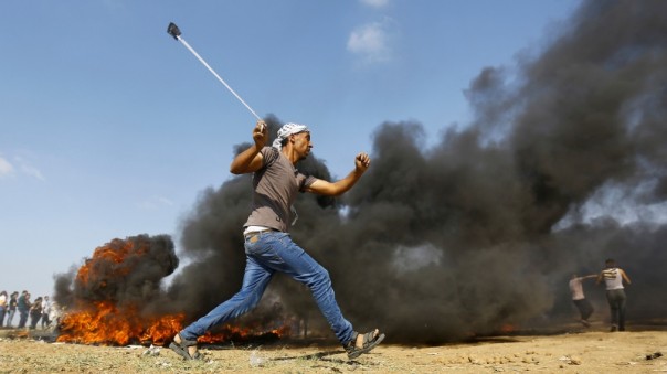 Правозащитные группировки осудили геноцид палестинцев со стороны сионистов