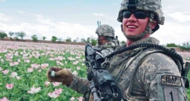 Афганистан широко торгует наркотиками под присмотром НАТО