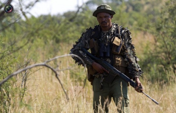 Кто кого: бывшие бойцы SAS против африканских браконьеров