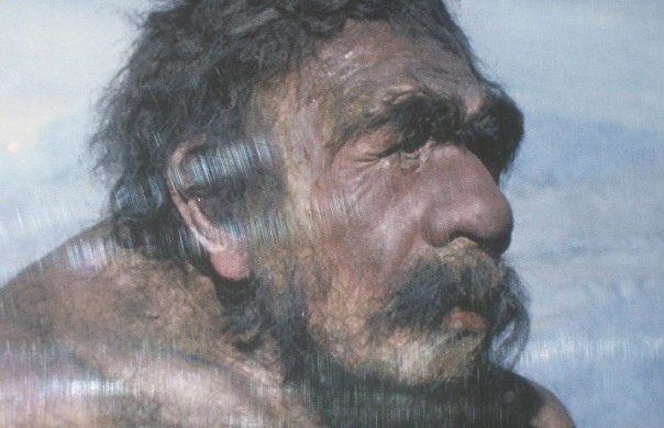 В США вырастили мини-мозг неандертальца