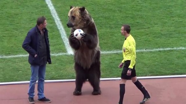 Взлом «матрицы»: без медведей и холода в России радушно и радостно