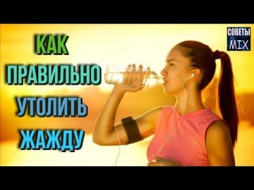 Не дай себе засохнуть: Напитки, которые действительно утоляют жажду в жару. Полезные рецепты здоровья