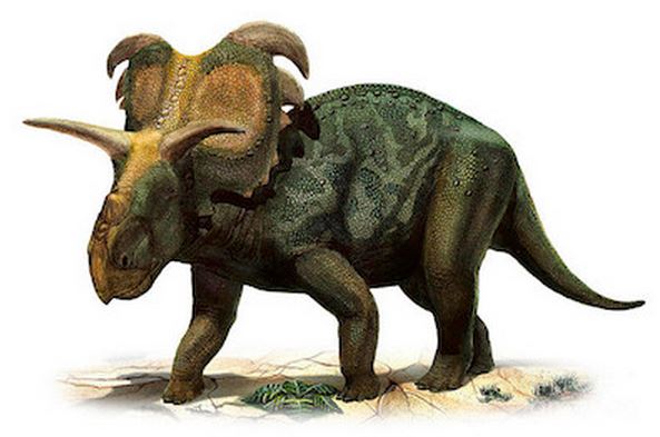 Медузоцератопсы убьют Америку