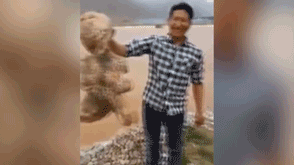 Странные новости: Флот НЛО покидает Луну, морской человекоподобный мутант, загадочный огненный шар изменивший направление упал в океан