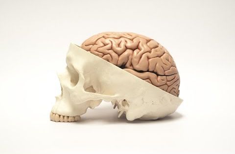 Принцип вскрытого черепа на Украине