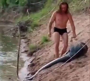 Драка рыбака и двухметрового сома