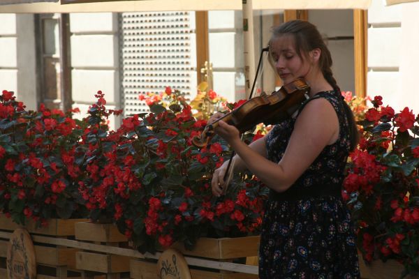 В самом центре Львова у Кафедрального собора уличной скрипачке прострелили ногу
