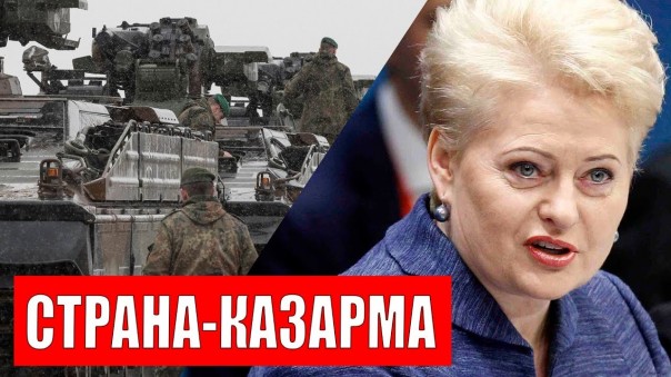 Литва собралась на войну с Россией. В бой пойдут подводные «Патриоты» / Зачем Украина предложила России ядерную сделку