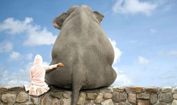 Как мозг делает из мухи слона