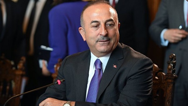 Турция выступила за совместный с Россией контроль выхода США из Сирии