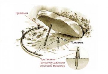 Враги и долги.