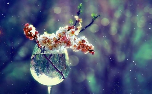 На этот раз по-настоящему: открыто новое свойство воды