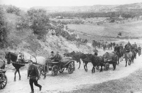 Закарпатье, Галиция, Волынь, Полесье: партизаны против нацистов и бандеровцев. Об освобождении Украины – правда и вымыслы