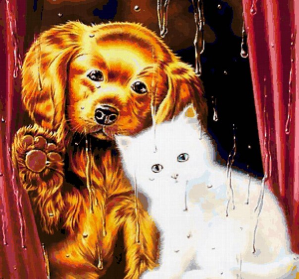 Дождь, вечер, коты и собаки