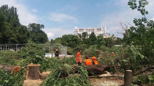 В Запорожье за несколько часов уничтожили сквер ради строительства торгового центра