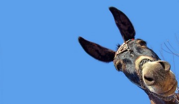 Что Россия должна Прибалтике за СССР, и где получить должок?