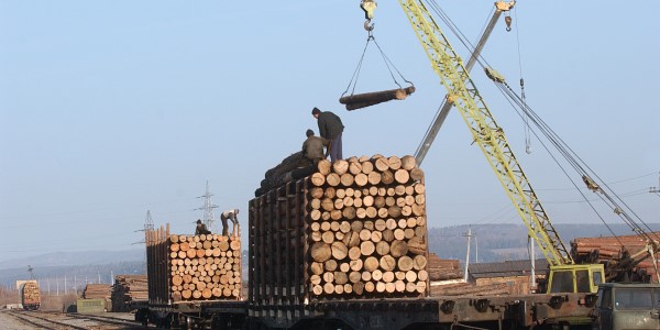 В России собираются ввести госмонополию на экспорт леса