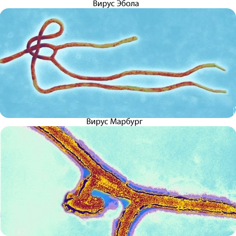 Обстановка в Солсбери накалилась до предела. Власти предпринимают экстренные меры в попытках предотвратить панику