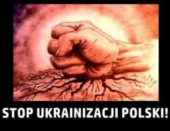 «Бал только начинается»: В Польше заробитчане устраивают поджоги и погромы, поляки напуганы - украинцы захватили Вроцлав, будет майдан