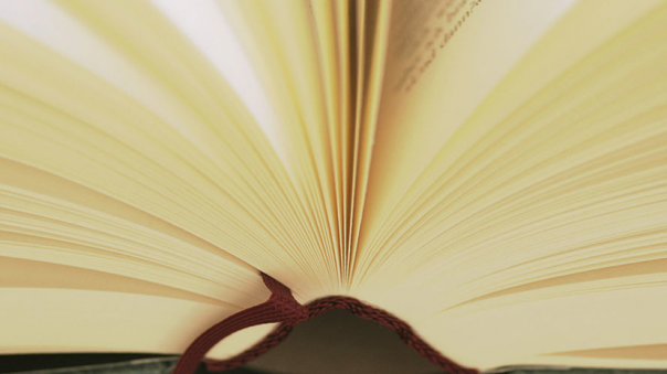 В издательстве объяснили отказ магазинов в Екатеринбурге продать школьнице сборник Есенина