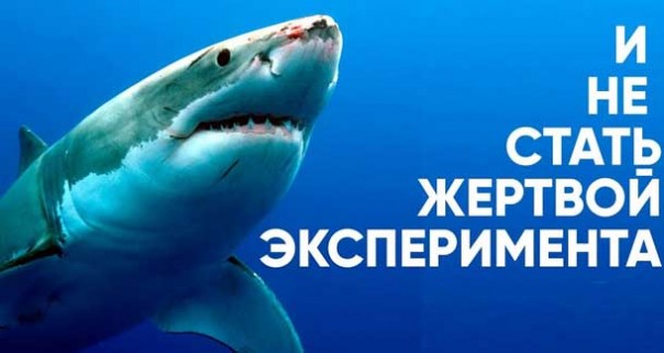 Евгений Супер. Как вычислить видеофейк