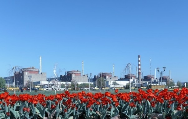 На Запорожской АЭС остановлен первый энергоблок