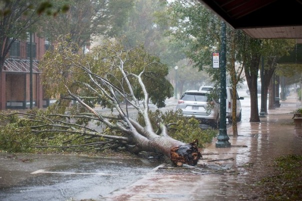 В США зарегистрирован первый иск против России из-за урагана «Флоренс»