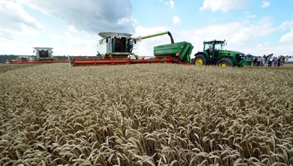 WSJ назвала экспорт российской пшеницы угрозой для фермеров США