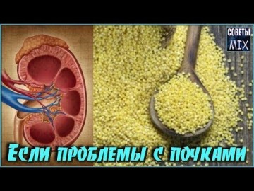 Старинный способ лечения почек пшеном. Очищение почек отваром пшена. Профилактическая чистка организма
