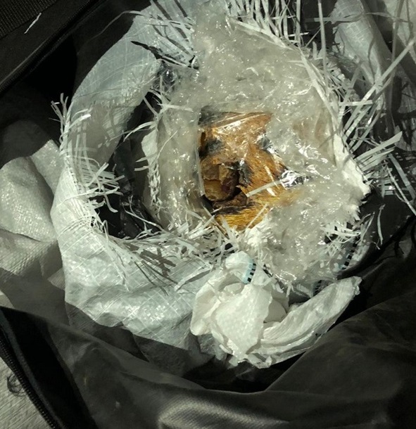 На Закарпатье изъяли более тонны янтаря