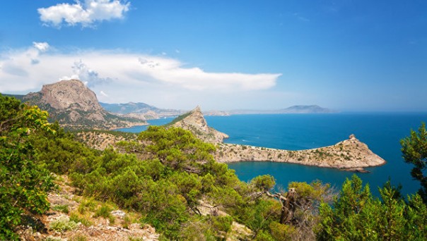 Украинская диаспора призвала отменить указ о передаче Крыма УССР