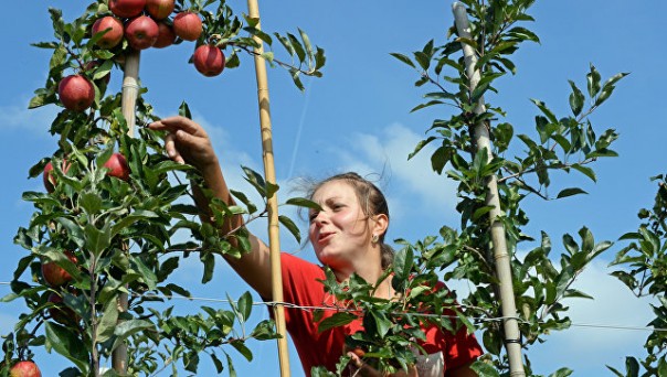 Заробитчане меняют пути миграции: Польша уходит в минус