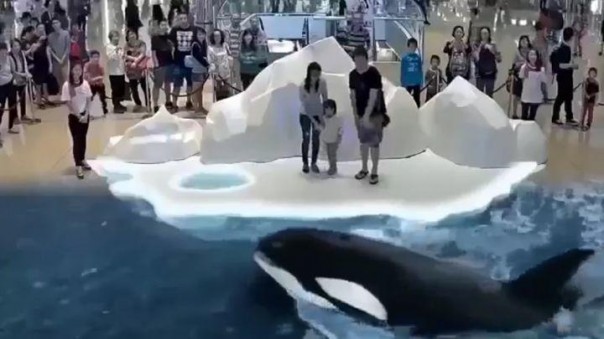 Первый голографический зоопарк открылся в Японии