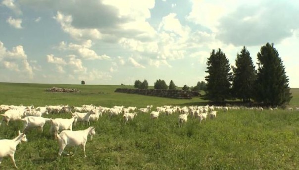 В поисках русской мечты. Земля священных рощ. Документальный фильм Александра Проханова