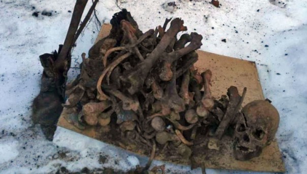 В Благовещенске дачник рыл яму и наткнулся на десятки черепов с пулевыми отверстиями