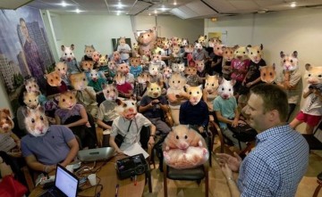 Омские хомяки Навального опозорились фейком