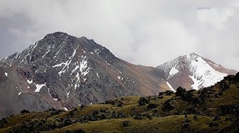 Нефакт. Выпуск № 110