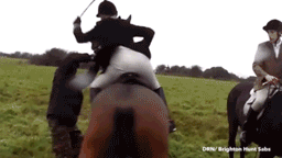 Наездница, которая избила зоозащитника, погибла, упав с коня во время охоты