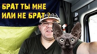 Осужден За Разжигание Любви / Рыжий, рыжий, конопатый.... / Россияне!!! Хватит рожать как перепуганные! / Кот Костян