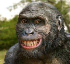 Почему у первых людей стал быстро расти мозг