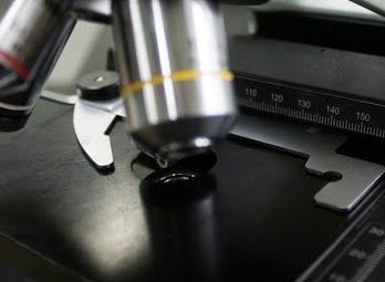 Мастер из Сибири сделал чижика-пыжика размером с песчинку