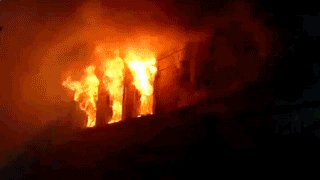 В Петербурге полыхает магазин Bosco — видео