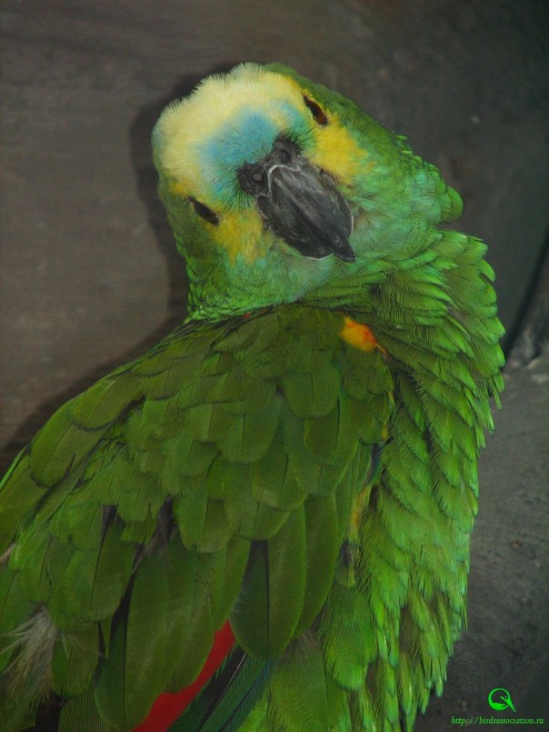 Тайны следствия [ПЯТНашки]