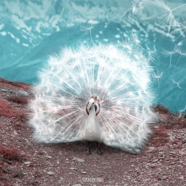 Художник показал, как ведут себя животные, когда никто не видит [ПЯТНашки]